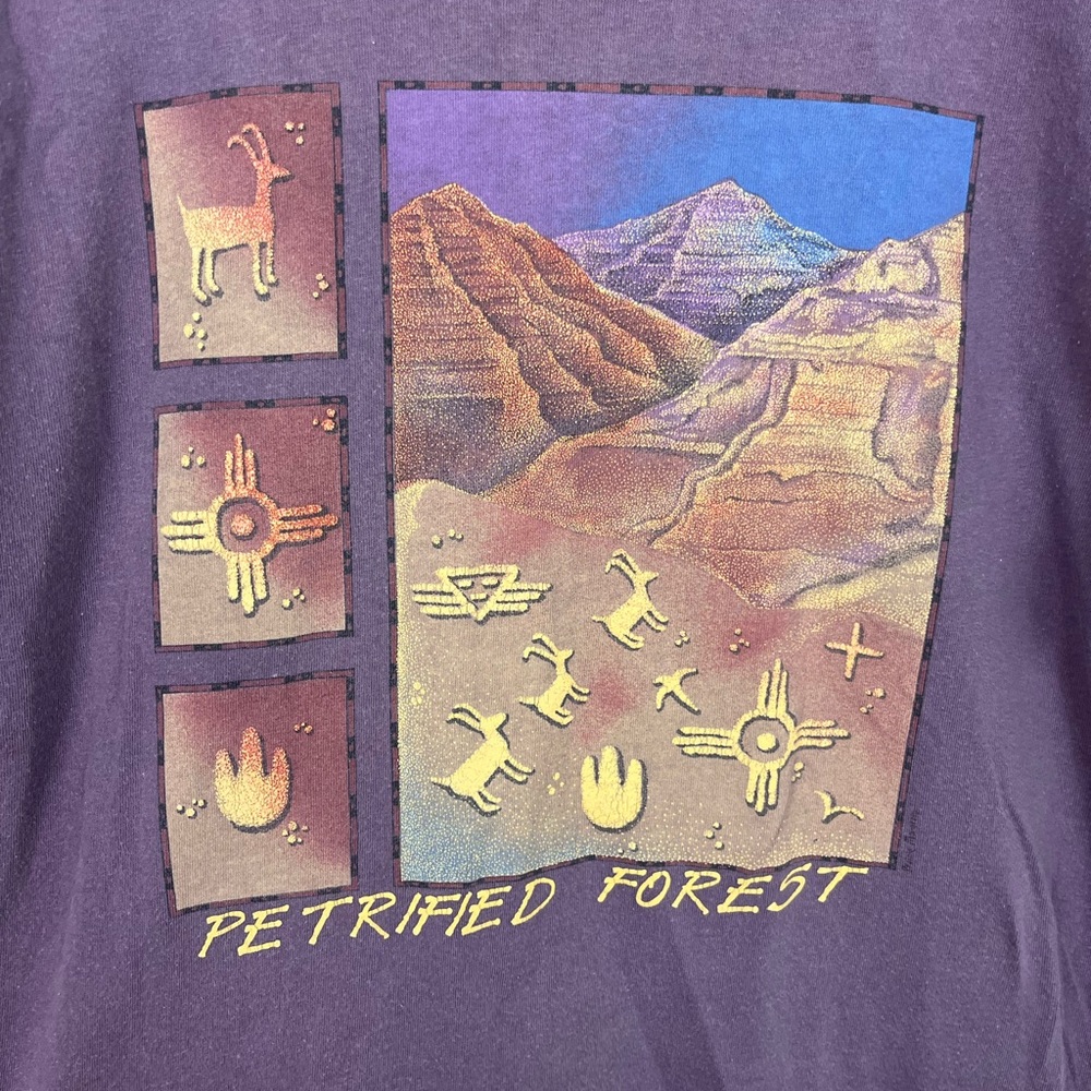 Vintage National Parks Petrified Forest T-Shirt M - Picture 5 of 6